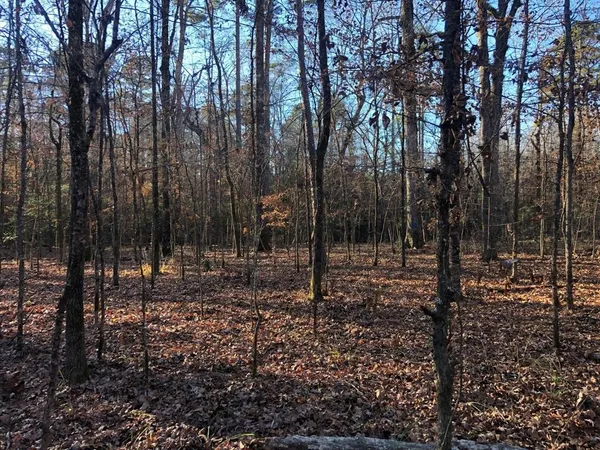a view of outdoor space with garden view