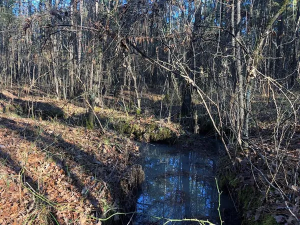 a bathroom with a bathtub and a sink