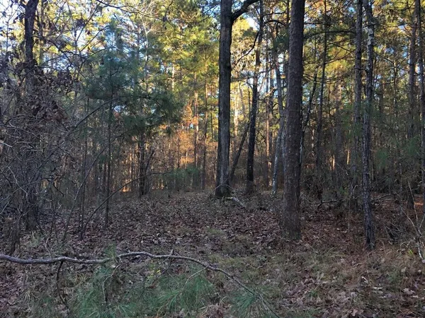 $380,000 | 0 Highway 160, Cotton Valley, LA 71018