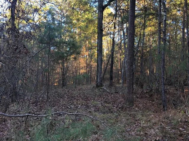 $380,000 | 0 Highway 160, Cotton Valley, LA 71018