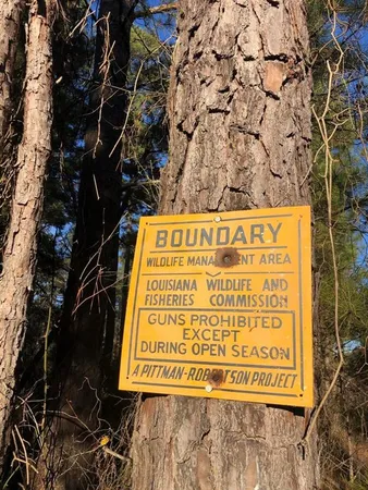 $380,000 | 0 Highway 160, Cotton Valley, LA 71018