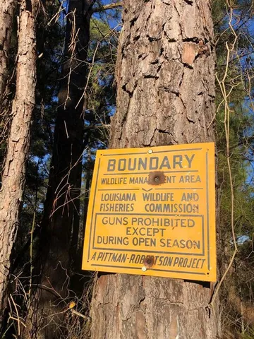 $380,000 | 0 Highway 160, Cotton Valley, LA 71018