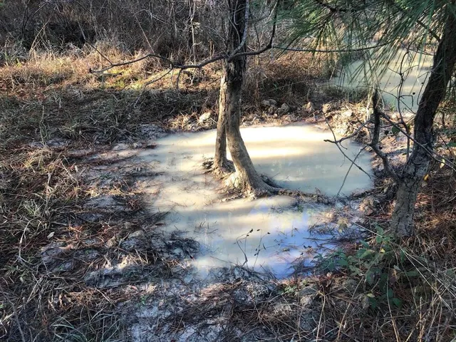 a view of outdoor space with lots of trees