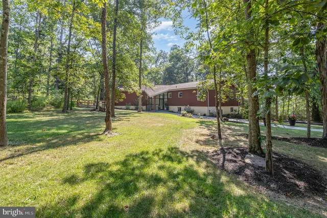 a view of a backyard with trees