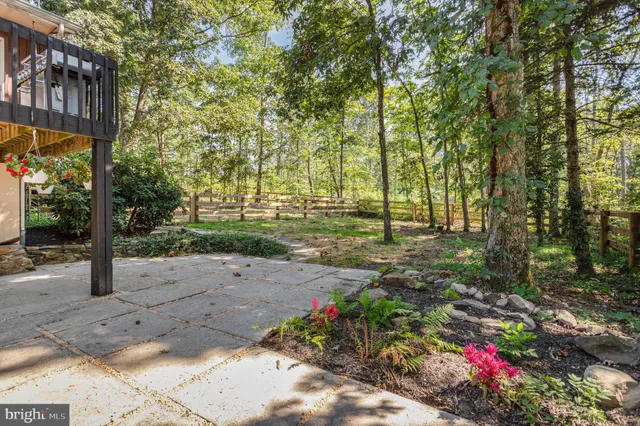 a view of a pathway with a yard