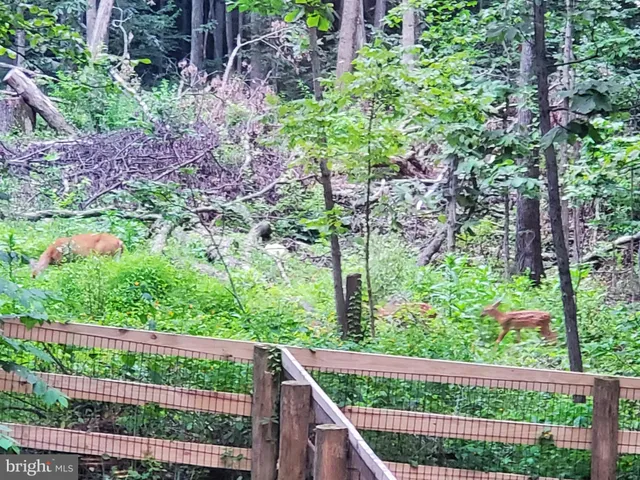 a view of a garden from a balcony
