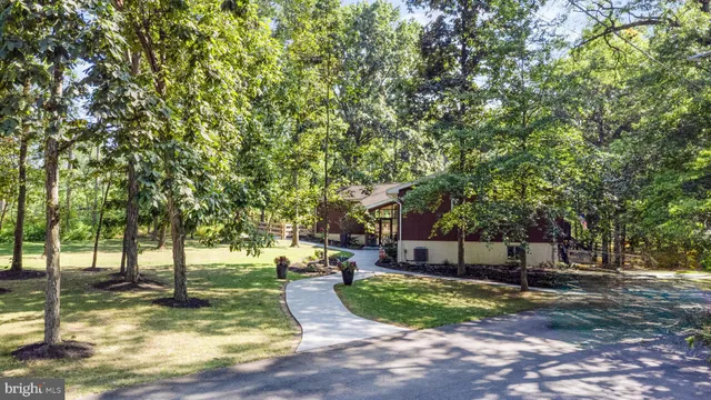a view of a yard with plants and trees