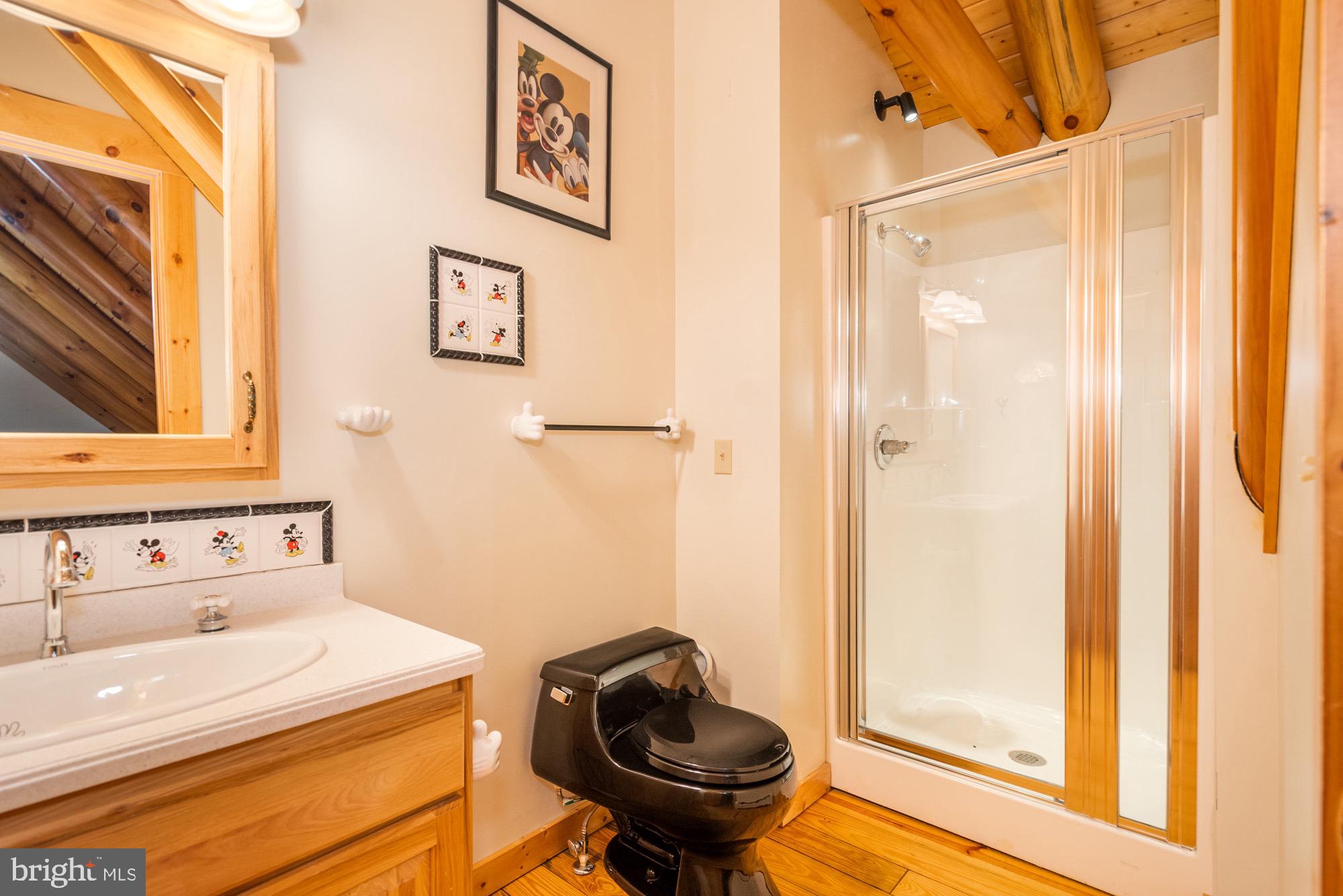 17051 Laurel Run Road Southwest Barton, MD 21521 - Photo 55 of 77 a bathroom with a sink and a mirror