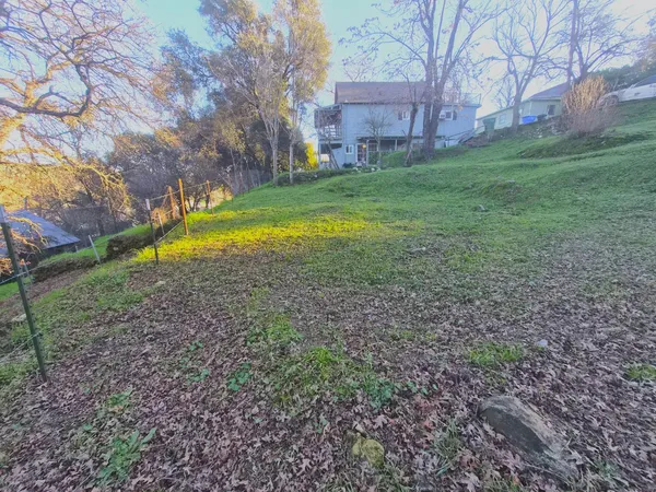a view of a backyard with large trees