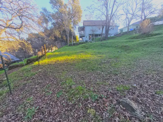 a view of a backyard with large trees