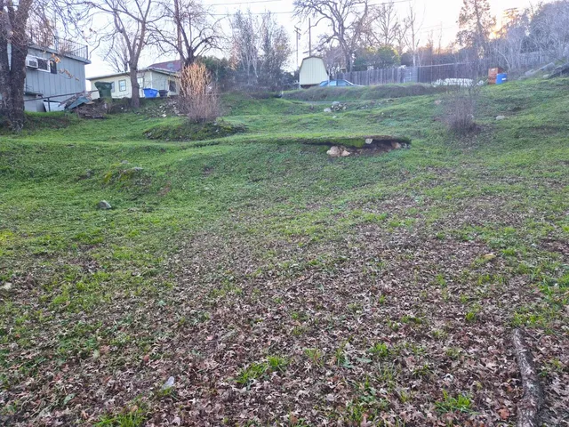 a view of a yard with a tree