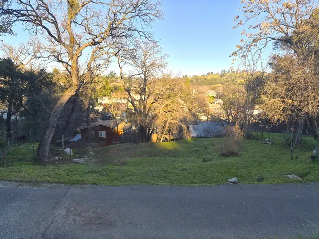 a view of a yard with large trees