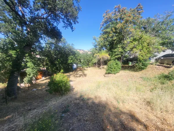 a view of a yard with a tree