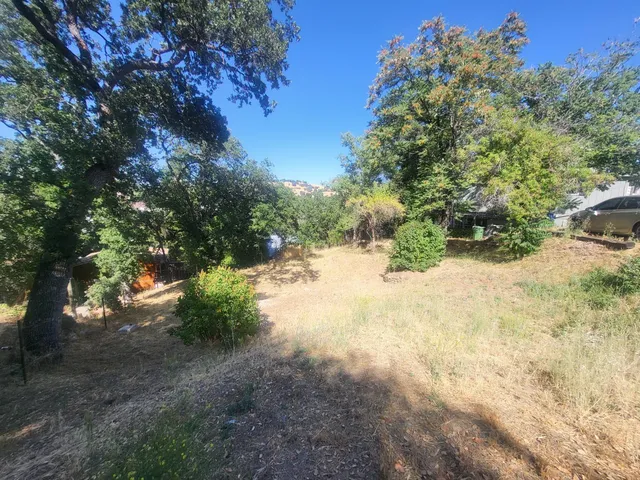 a view of a yard with a tree