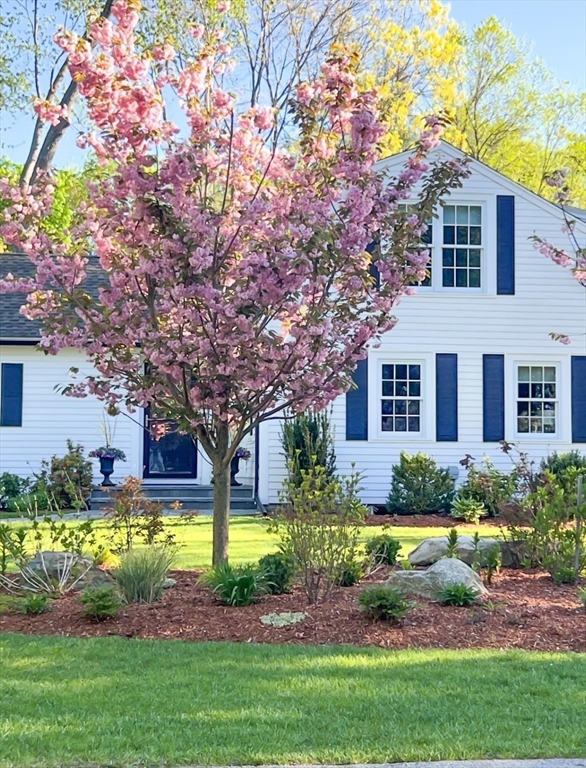 244 Powder Mill Road Concord, MA 01742 - Photo 8 of 34 Gallery Image 8