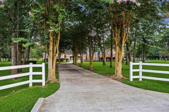 a view of a park with large trees