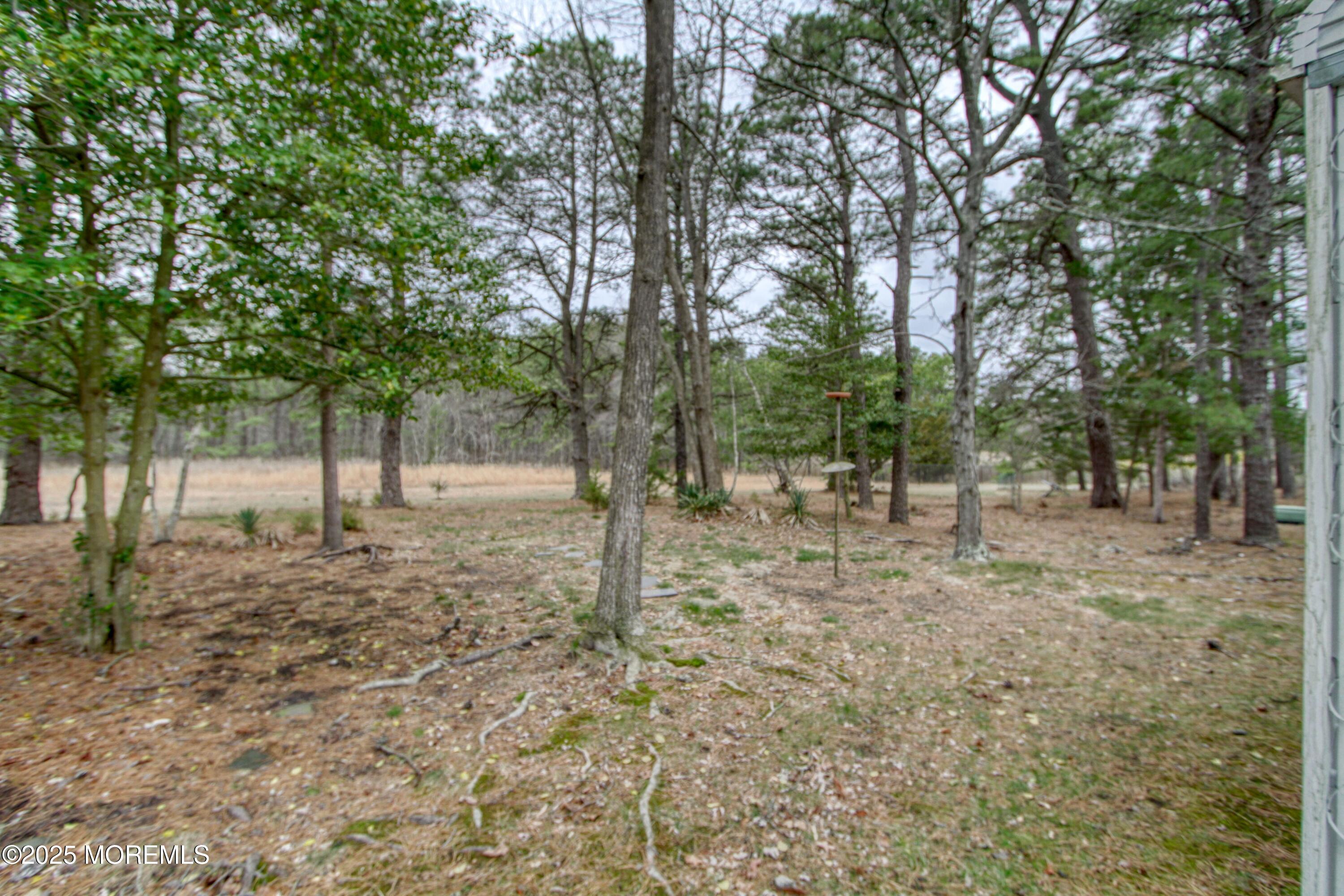 32 Augusta Road Whiting, NJ 08759 - Photo 22 of 30 a view of outdoor space with trees