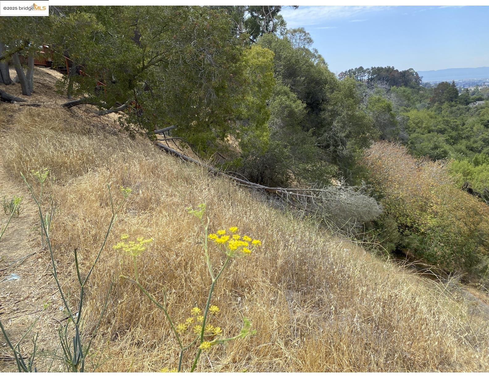 4145 Oak Hill Road Oakland, CA 94605 - Photo 2 of 11 a view of a yard with trees