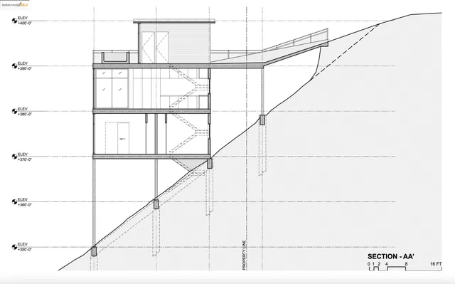 a view of a lush green space