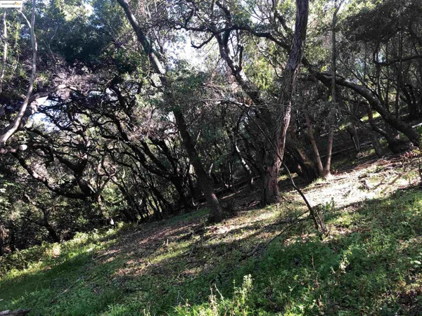 $80,000 | 4145 Oak Hill Road, Oakland, CA 94605