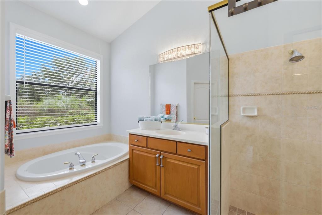 428 Snapdragon Loop Bradenton, FL 34212 - Photo 20 of 33 a bathroom with a tub a sink and a window