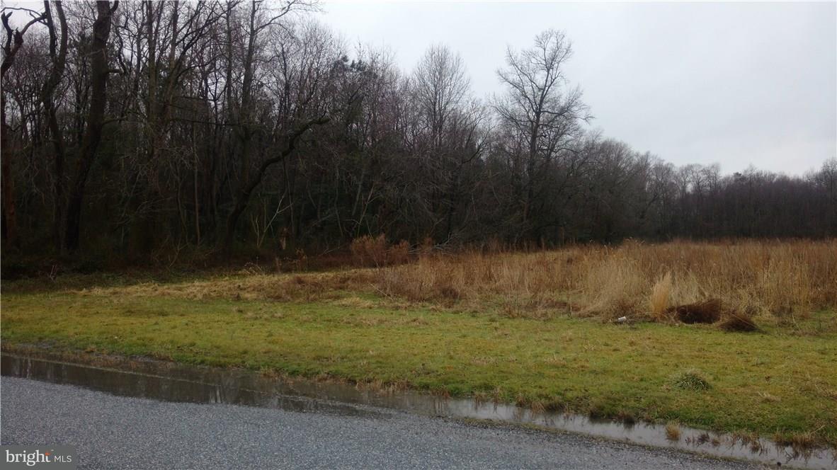 Lot 2 Robin Hood Road Delmar, DE 19940 - Photo 1 of 2