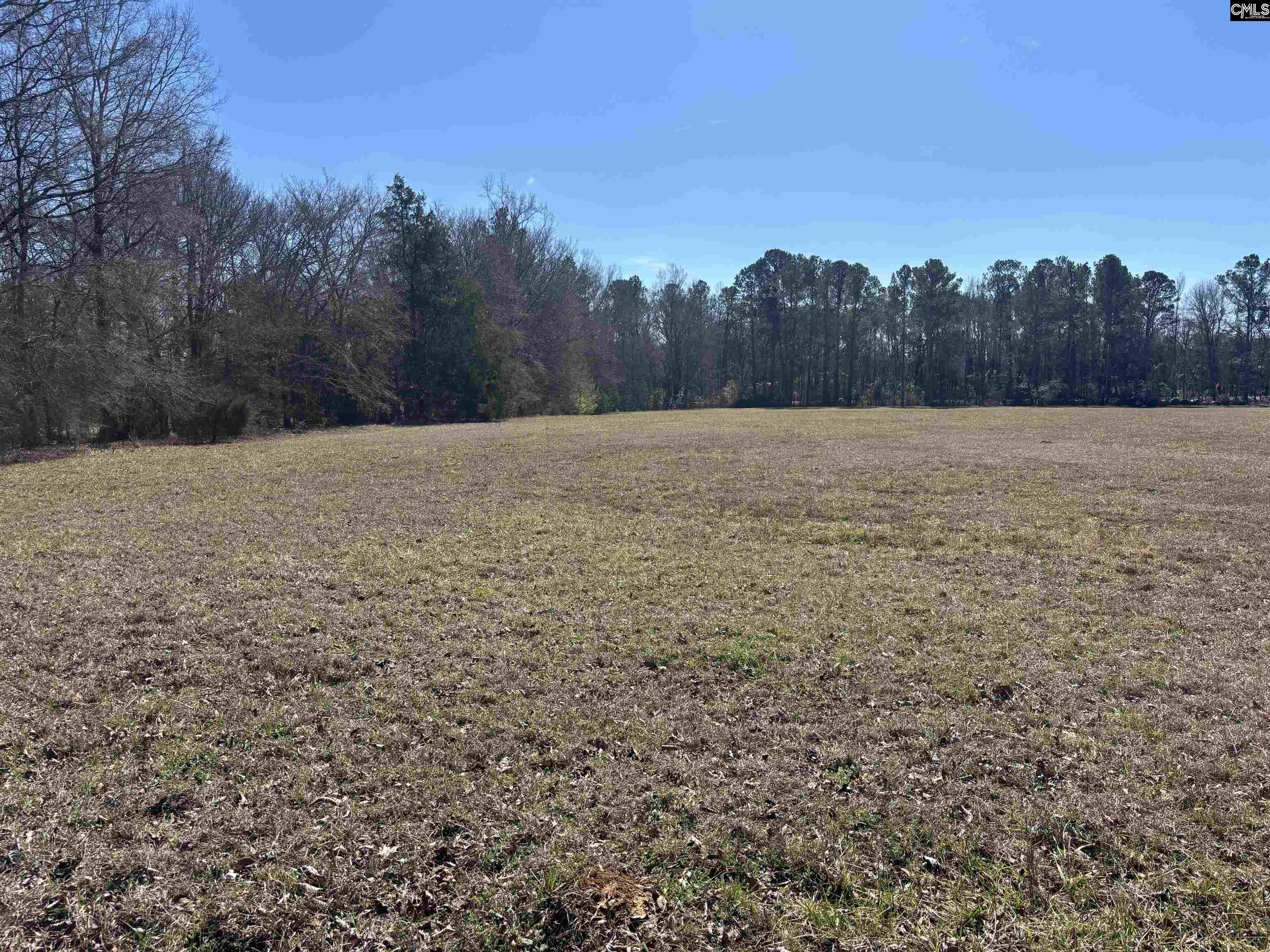 0 Bethany Road Saluda, SC 29138 - Photo 10 of 24