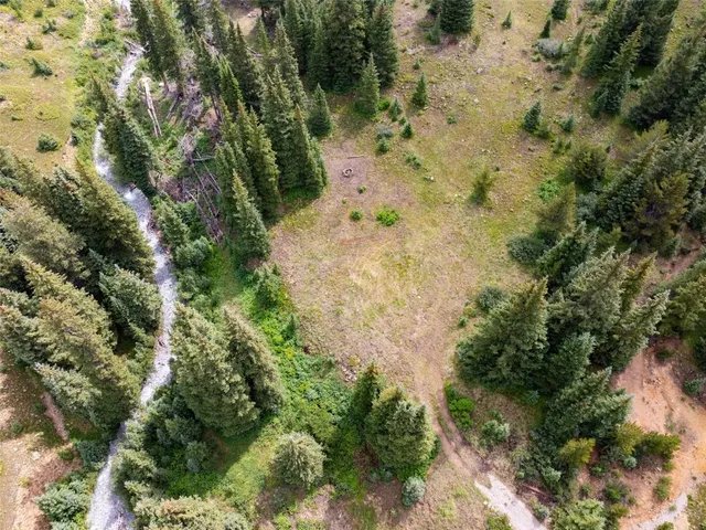 a view of a yard with plants and large trees