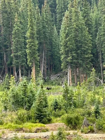 $299,000 | Tbd Tbd Tbd, Keystone, CO 80435