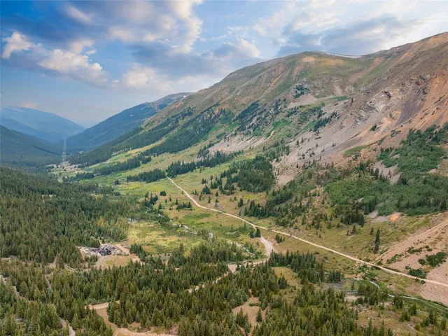 a view of a forest with mountains