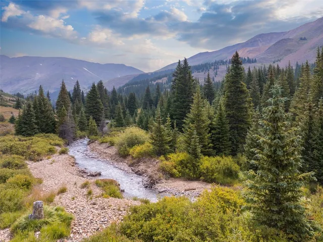 a view of a yard with plants and trees