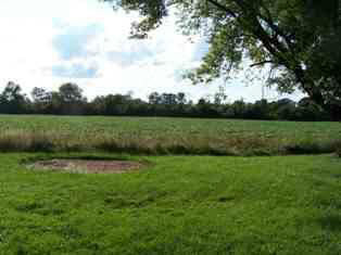 4419 North Jennings Road Flint, MI 48504 - Photo 4 of 9 20138079-3.JPG
