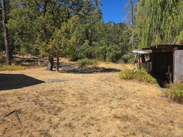 a view of backyard of house