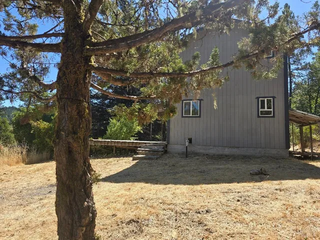 a view of a backyard with a tree