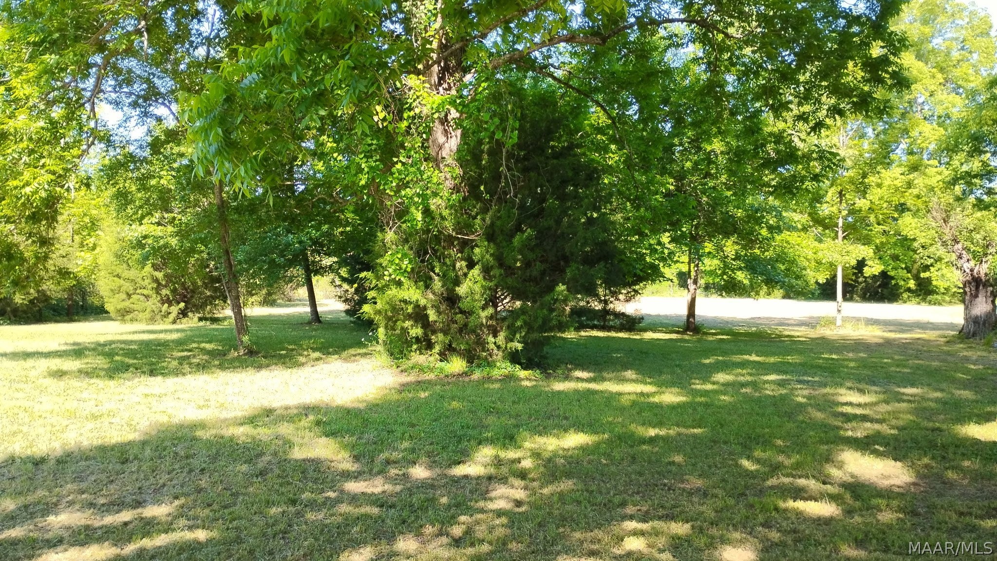 339 Darlington Road Camden, AL 36726 - Photo 12 of 21 Gallery Image 12