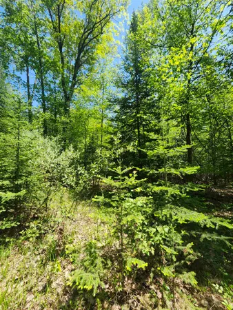 $63,000 | 0 Rose Circle, Lupton, MI 48635