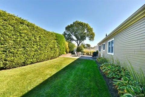 a view of a backyard with plants