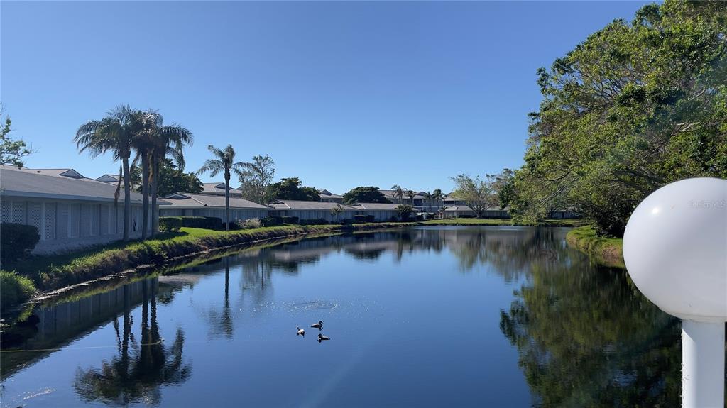 1155 Edgewater Circle, Unit 28 Bradenton, FL 34209 - Photo 48 of 50 a view of a lake with a building in the background