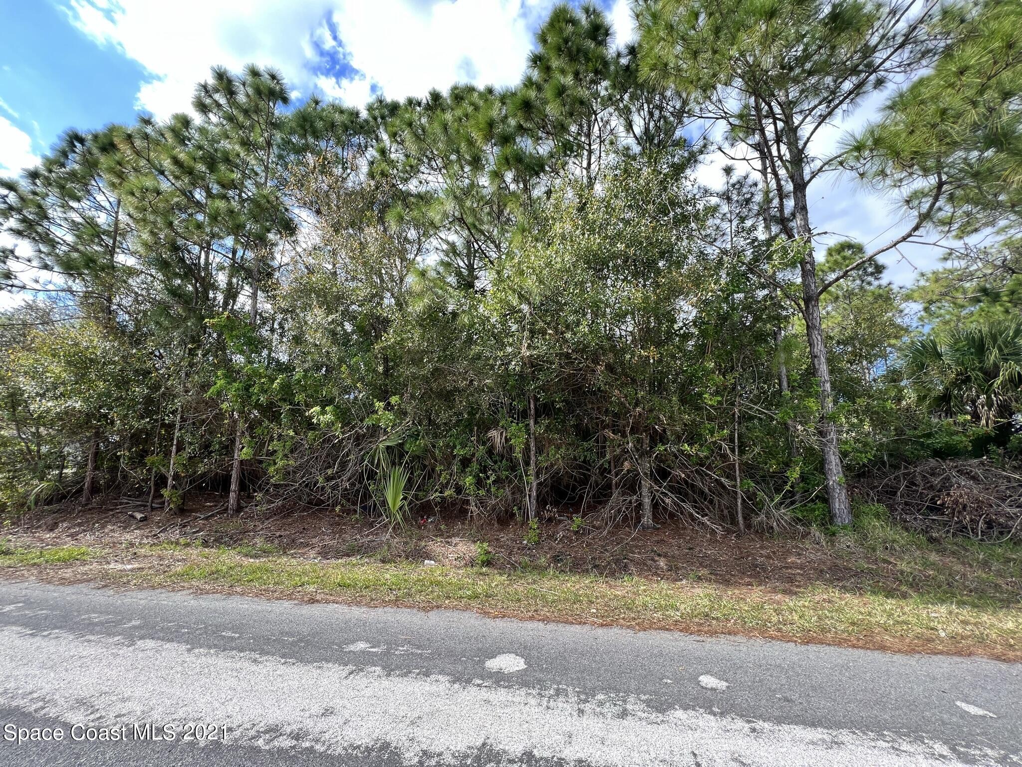 a view of a yard with plants and trees