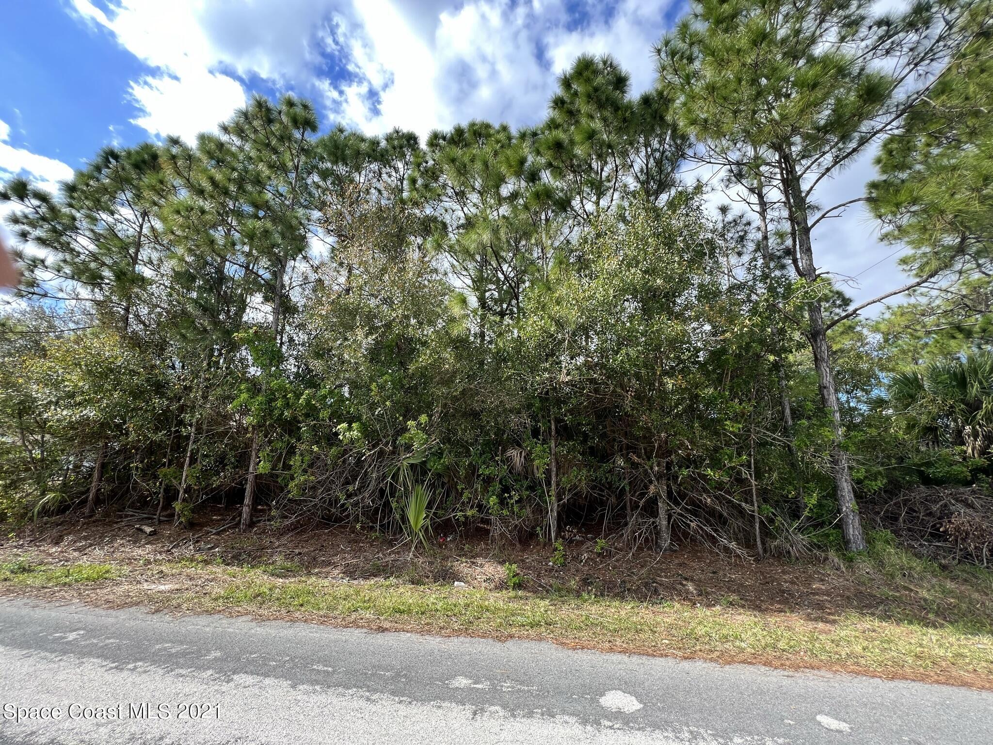 288 Delake Road Northwest Palm Bay, FL 32907 - Photo 2 of 7 a view of a yard with plants and trees