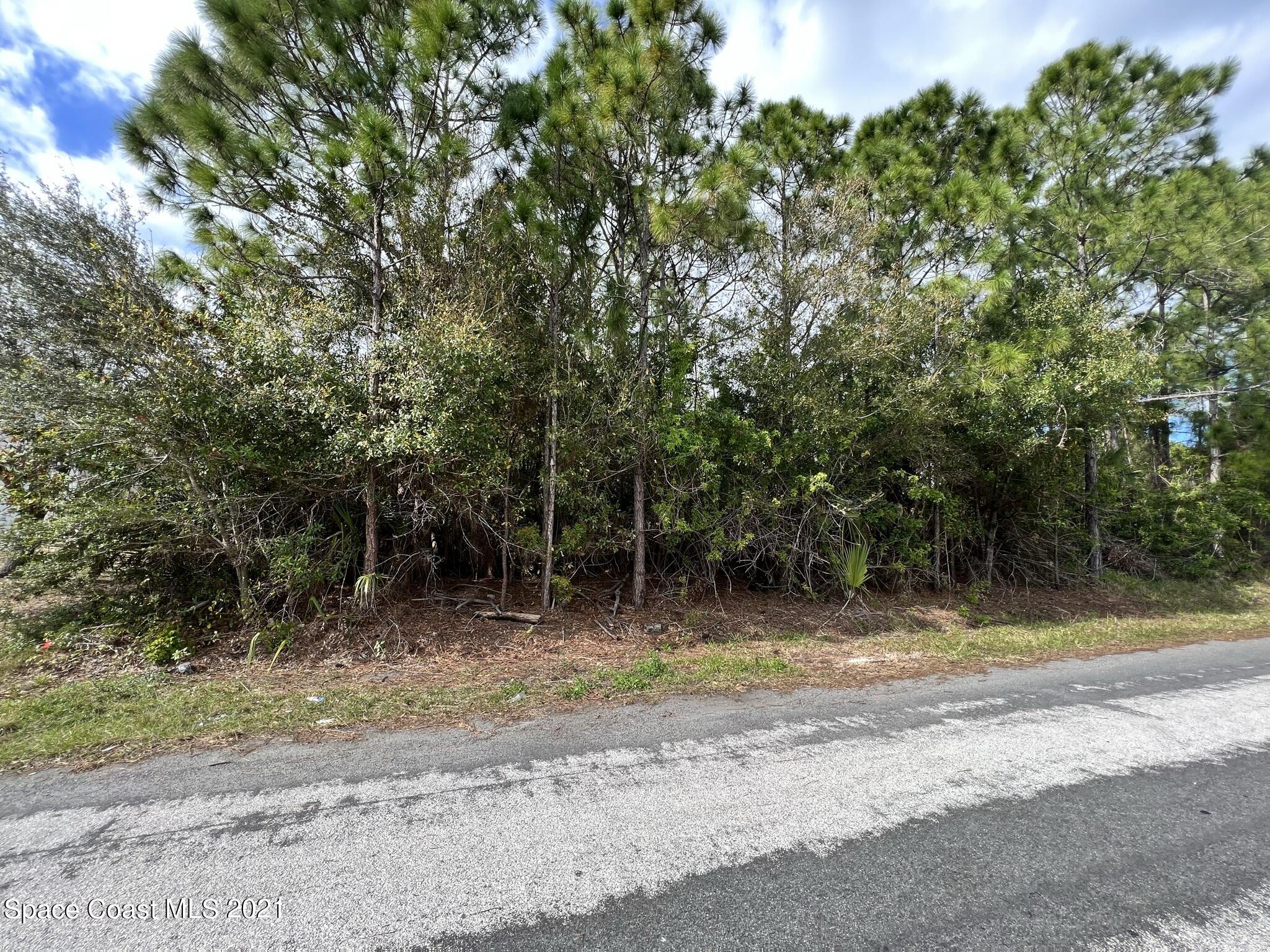 288 Delake Road Northwest Palm Bay, FL 32907 - Photo 3 of 7 a view of backyard with green space
