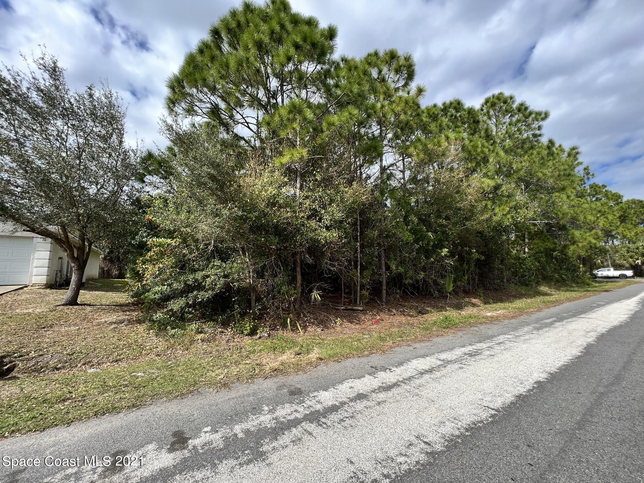 288 Delake Road Northwest Palm Bay, FL 32907 - Photo 4 of 7 a view of a yard with a tree