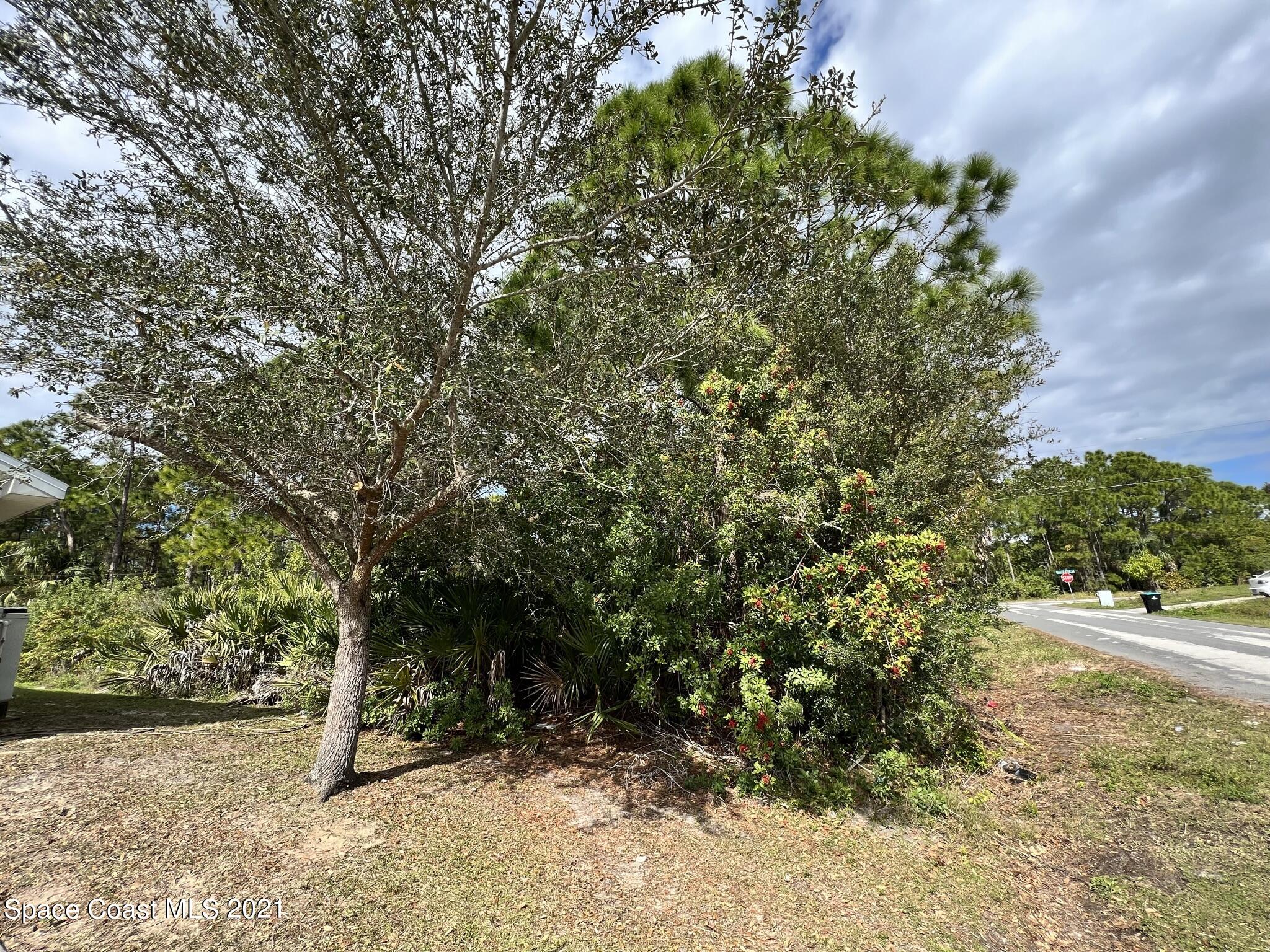 288 Delake Road Northwest Palm Bay, FL 32907 - Photo 5 of 7 a view of a yard with plants and trees
