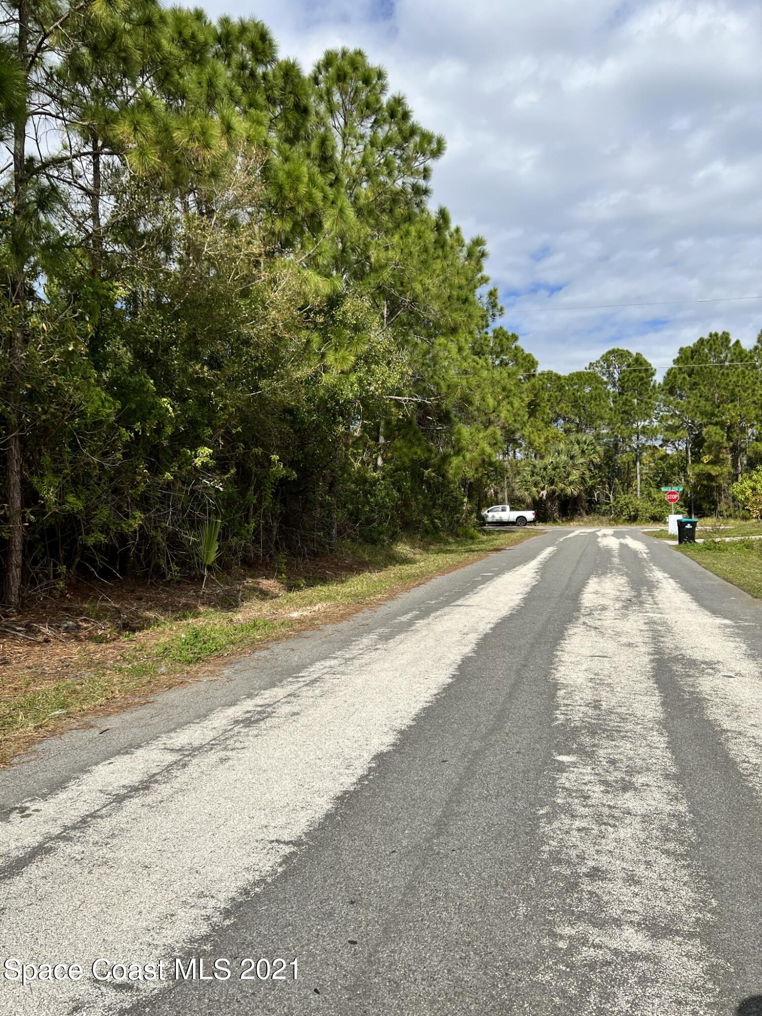 288 Delake Road Northwest Palm Bay, FL 32907 - Photo 6 of 7 a view of a road with a yard
