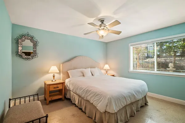 a view of a large trees in front of a house