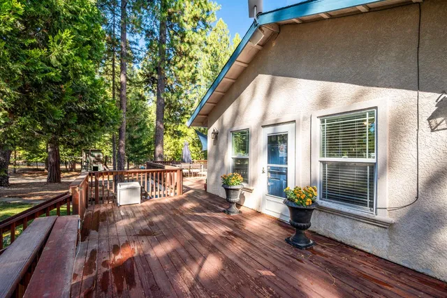 a view of a park with a tree