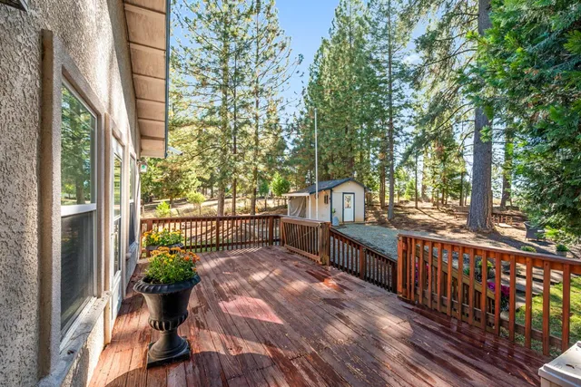 a view of a yard with large trees