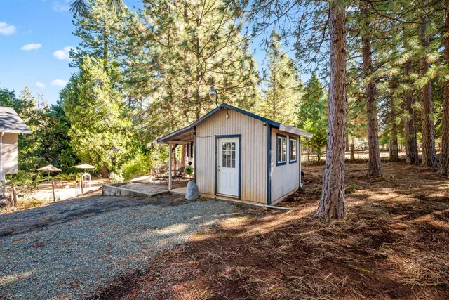 a view of a tree with a park