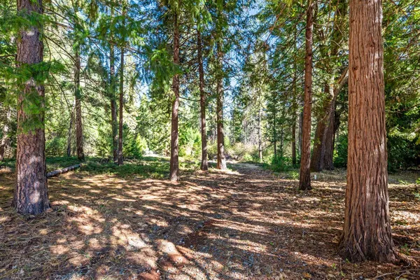 $580,000 | 7501 Slug Gulch Road, Somerset, CA 95684