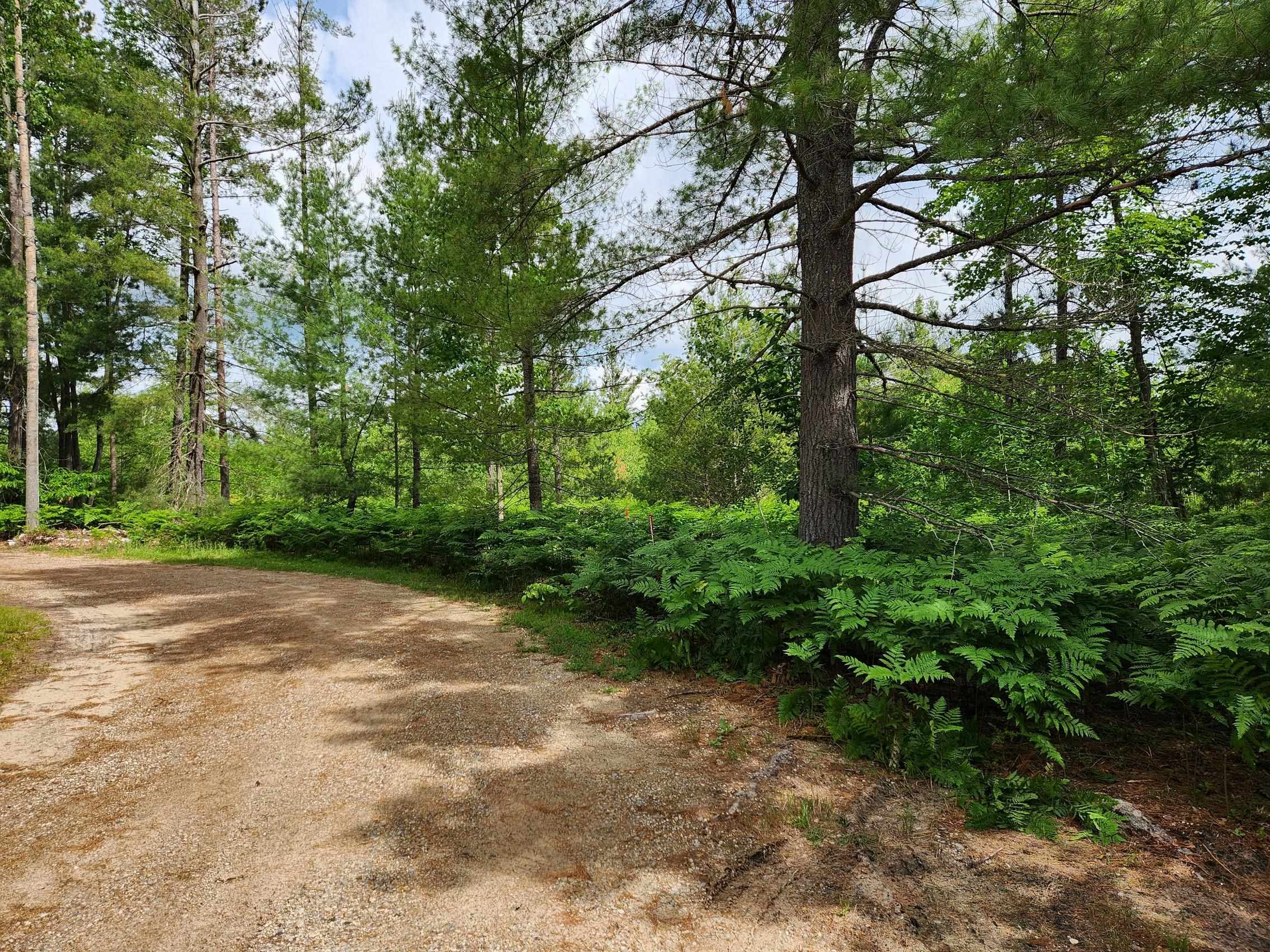 5446 Blue Lake Road Northeast, Unit LOT: J Kalkaska, MI 49646 - Photo 28 of 31